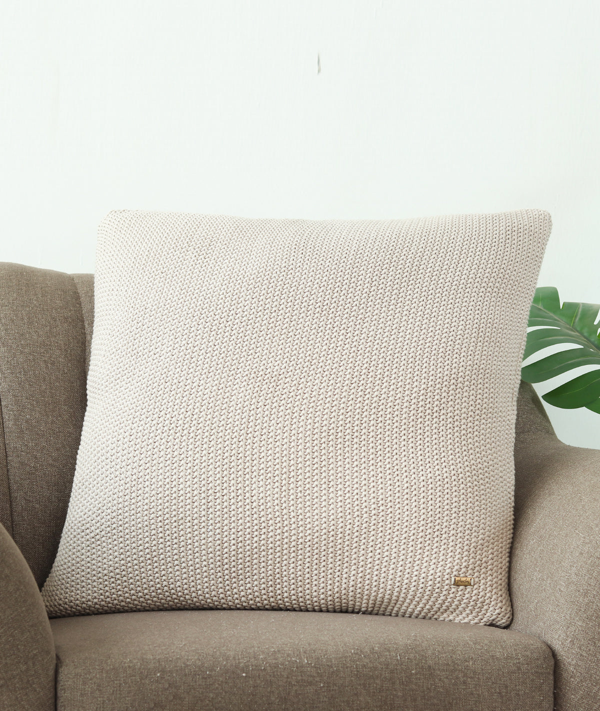 Moss Knit Pale Whisper Cotton Knitted Decorative 24 X 24 Inches Cushion Cover